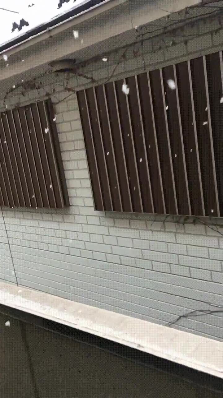 hipn&oacute;tico,efecto,nieve,c&aacute;mara lenta