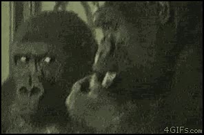 pillada,alguien,sacarse,mocos