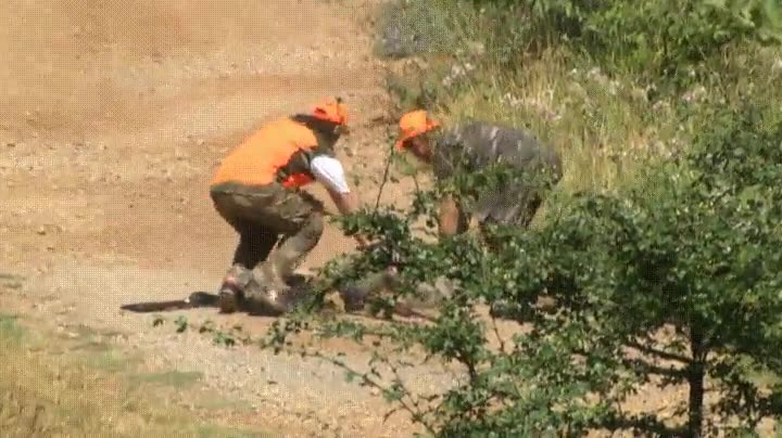 cazar,cuidado,naturaleza,venganza