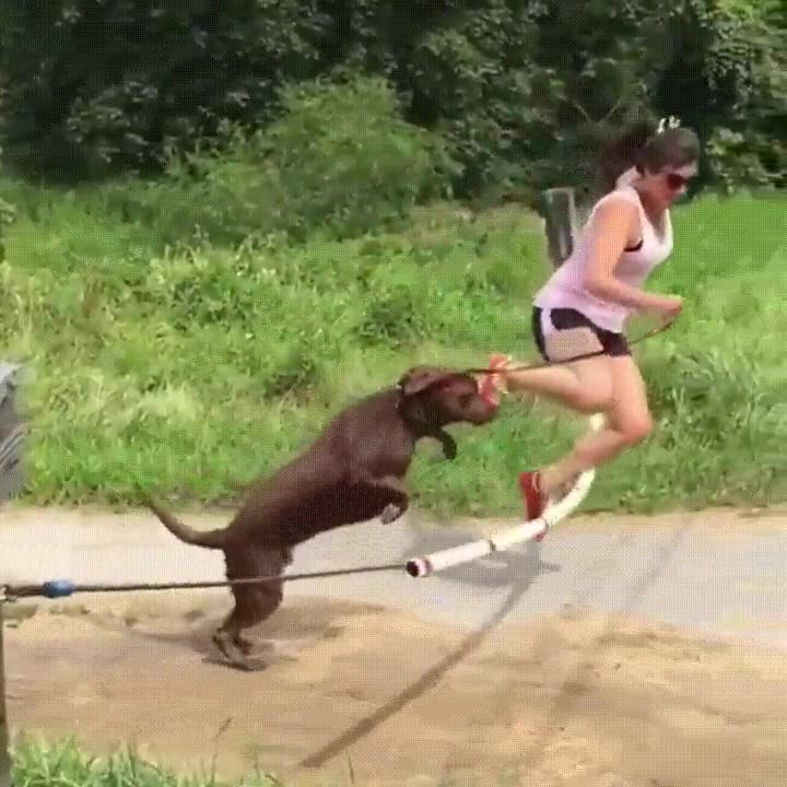 Прикольное Видео На Природе