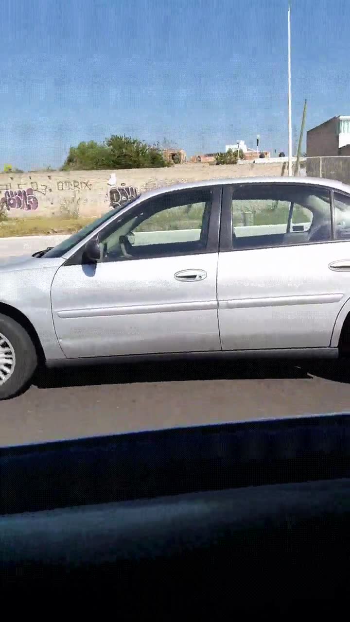 conductor,persona,bajita,futuro,llegar,tesla,coches