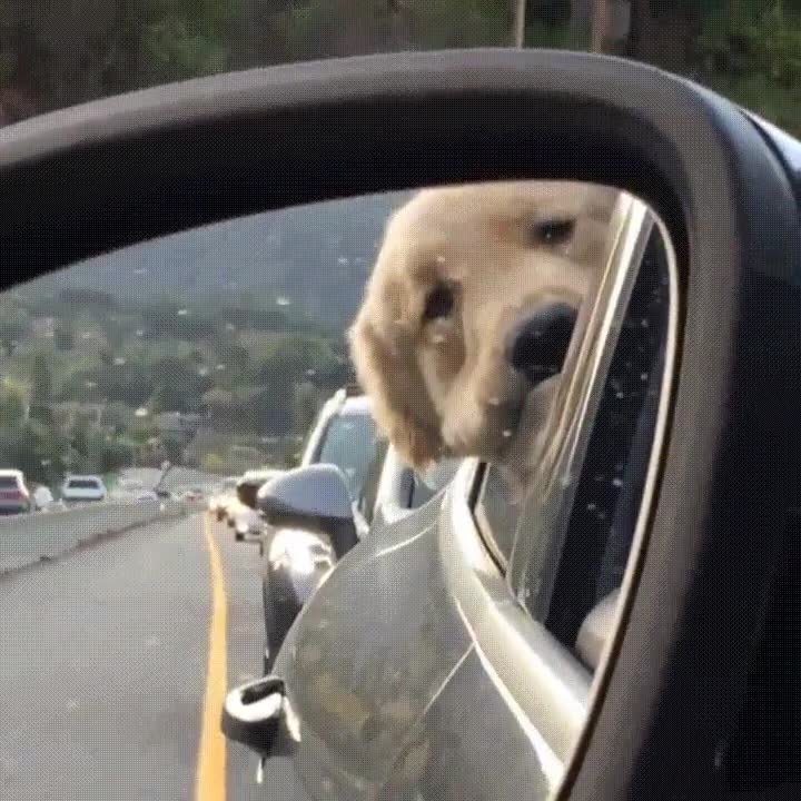 tr&aacute;fico,preguntarte,ser,buen,chico