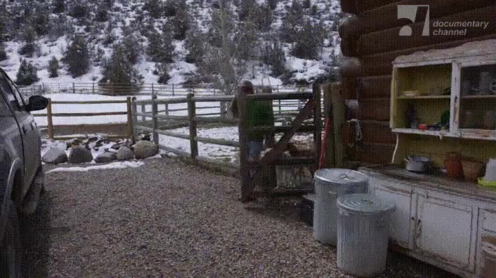 perros,vida,agradecidos,musher