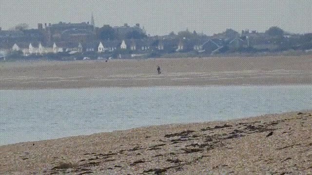 zoom,impresionante,playa,ver,hoy