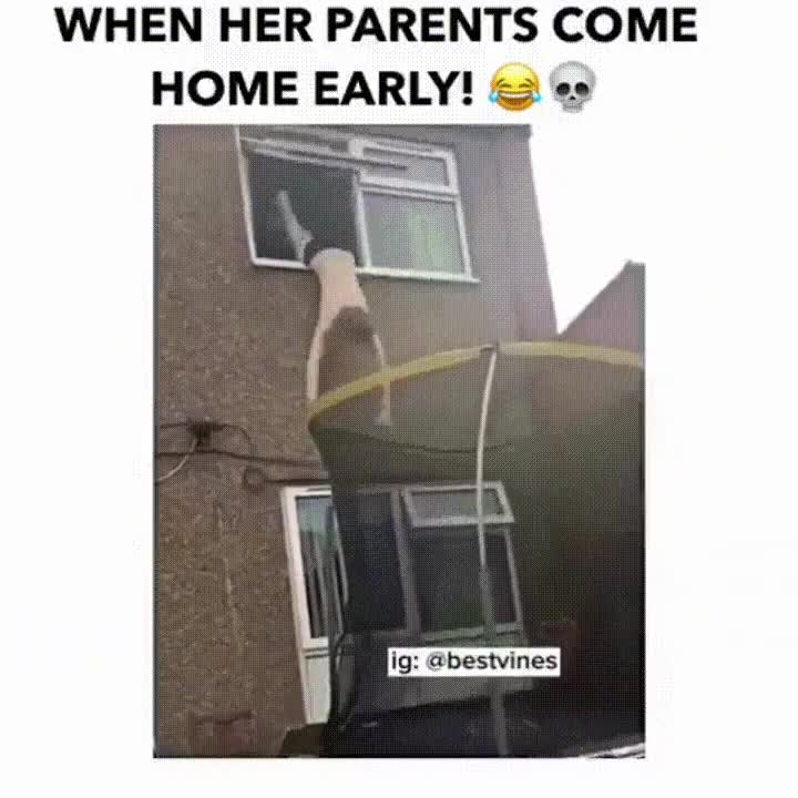 padres,novia,volver,casa,antes de tiempo