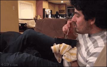 sentirse,observado,perro,comer