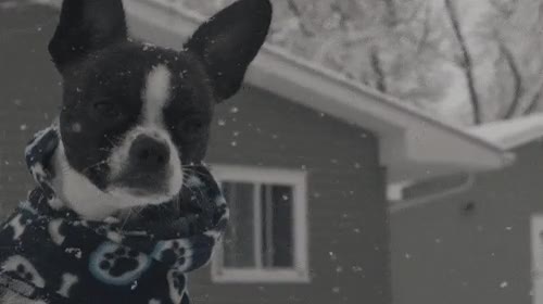 llegar,epoca,regalos,navidad,recuerdo,novia