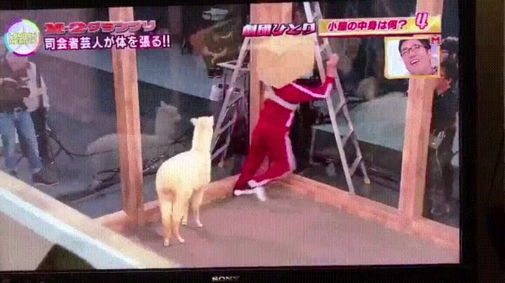 sensación,terror,dentro,cara,caja