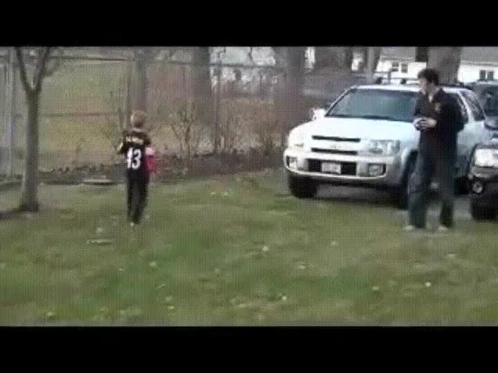 perro,hacer,placaje,perfecto