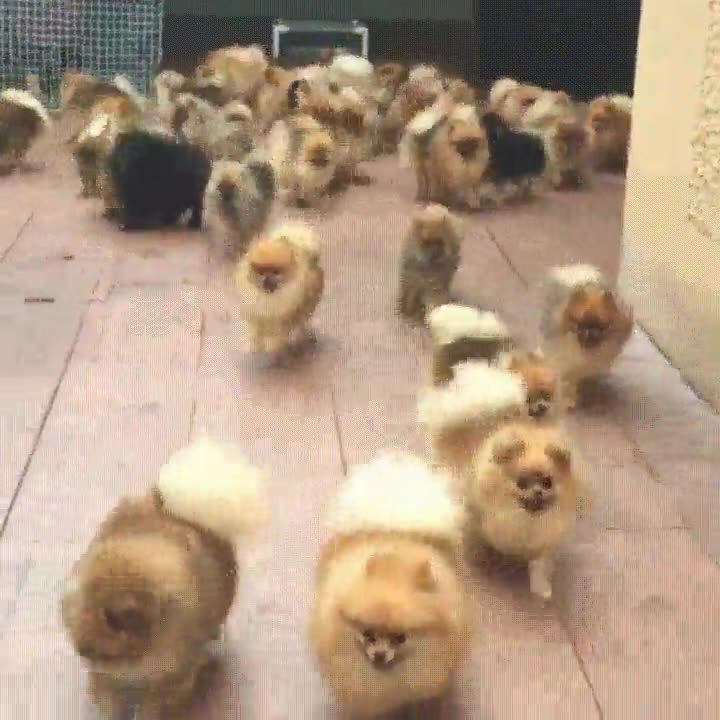 llegar,viernes,salir,ultima clase