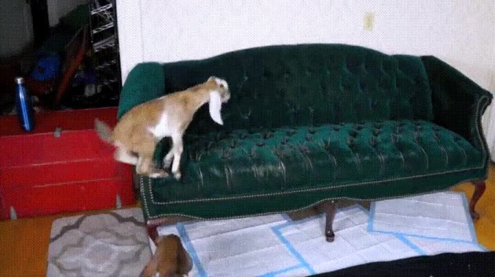 por fin,descubrir,vecinos,piso,arriba
