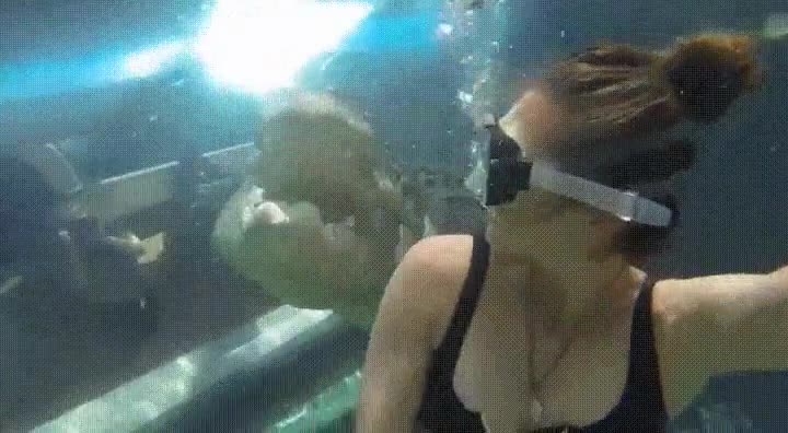 temeraria,valiente,nadar,chica,agua,cocodrilo