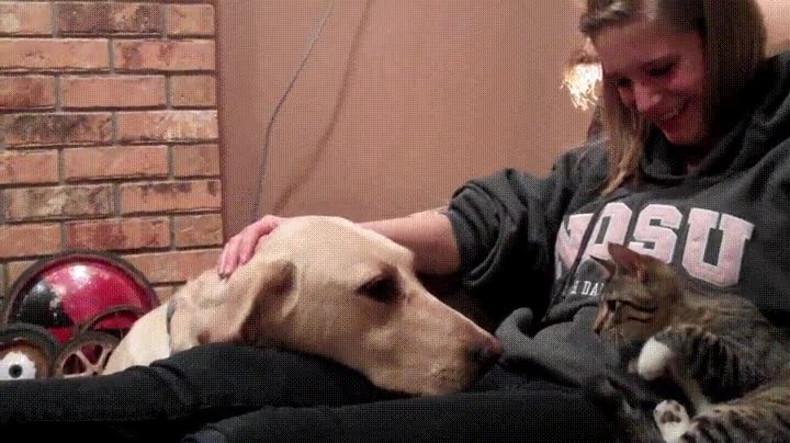 suave,toque,recordar,quien manda,casa