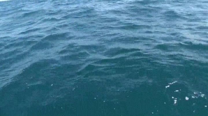 antes,saltar,oceano,llevar,sorpresa