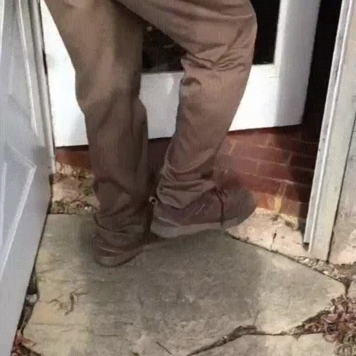 ocurrir,volver,sucio,humano