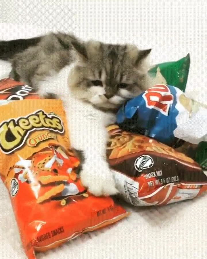 mejor,forma,mantener,linea,saltarse,dieta