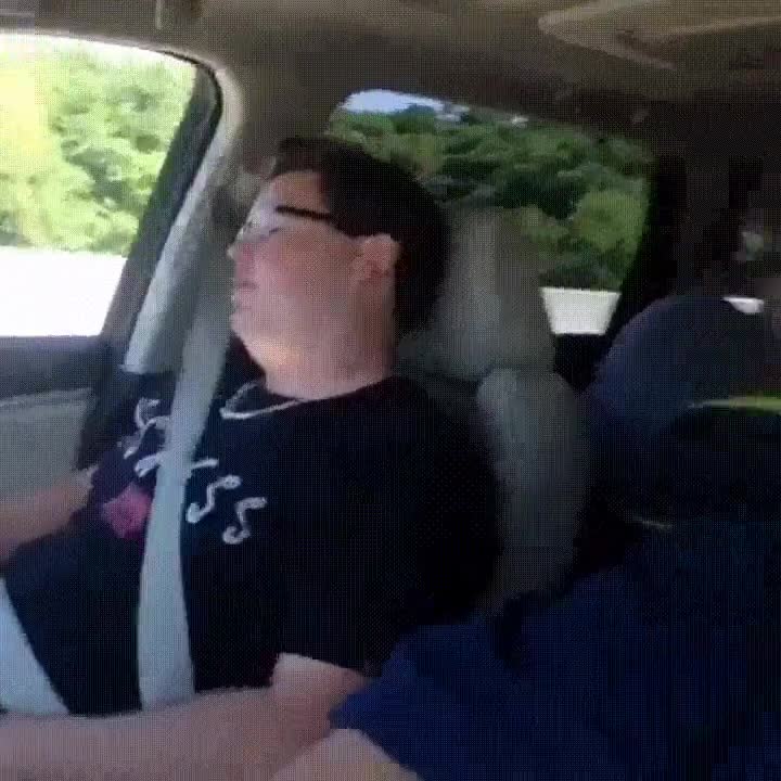 familia,trolls,despertar,peor,forma,posible