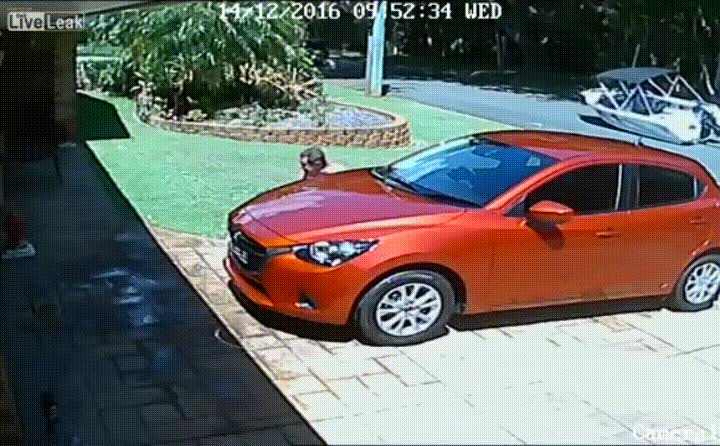 cari&ntilde;o,creo,barco,pedir,amazon,llegar