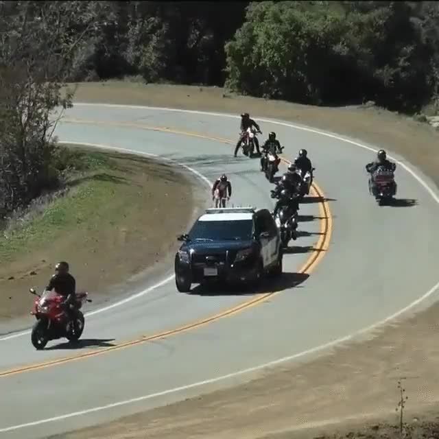 El culpable de muchos de los atascos que te has comido en la carretera culpable,muchos,atascos,comer,carretera