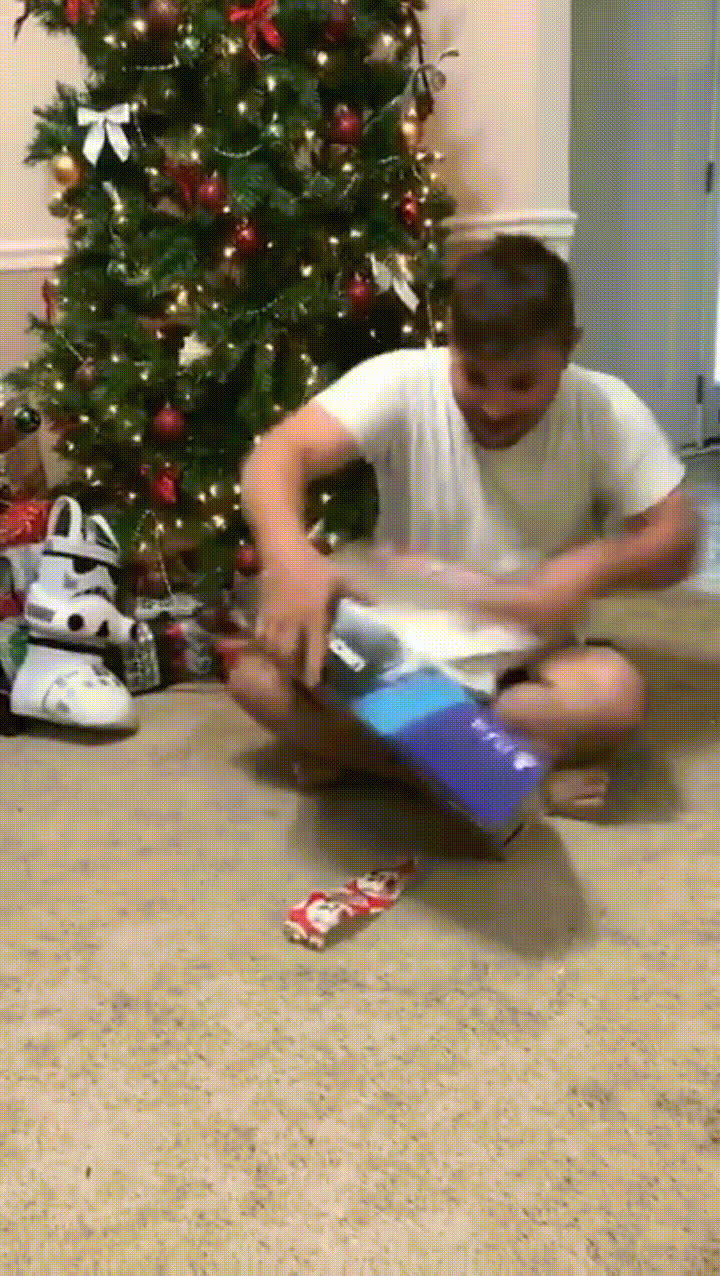 gato,representaci&oacute;n,2016