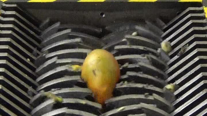 mirar,persona,sensible,encantar,mangos