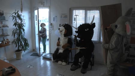 mas,raro,pasar,llevar,mascota,veterinario