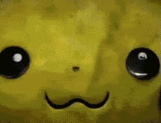 pikachu,perro,salvar,peluche calenton