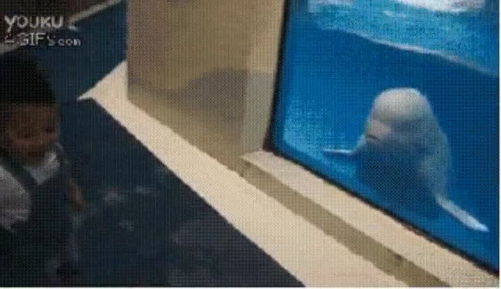 hoy en d&iacute;a,cualquiera,poder,trollear,fiar,nadie