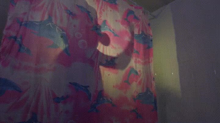 compa&ntilde;eros,piso,demasiado,bromistas