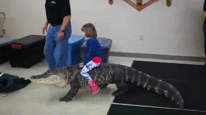 sue&ntilde;o,infancia,montar,caiman