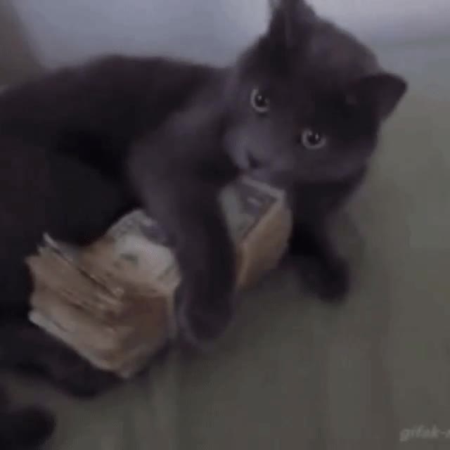 pedir,billete,madre,salir,fiesta