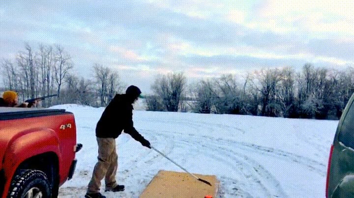 volar,libre,canada,volver