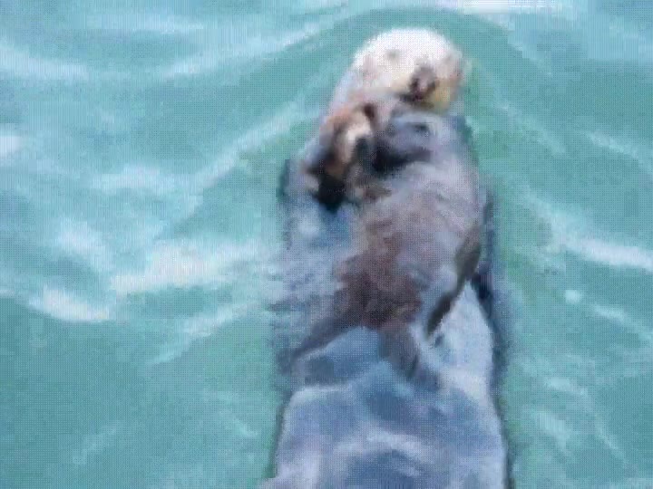 ahogar,mama,rescate,agua