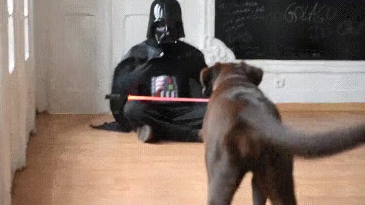 perros,acabar,ceciendo,lado oscuro,fuerza