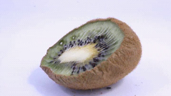 Enlace a Así echa a perder un kiwi después de 14 días
