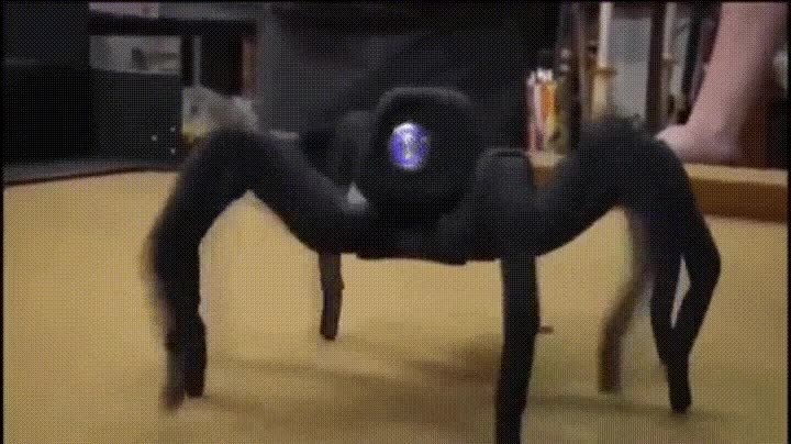 pensar,buena,idea,ara&ntilde;as,robots