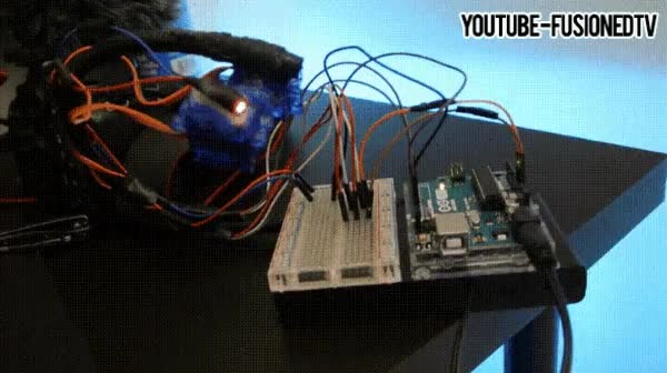 conseguir,dominar,gatos,siguientes