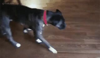 alguien,meter,contigo,llamar,hermano mayor