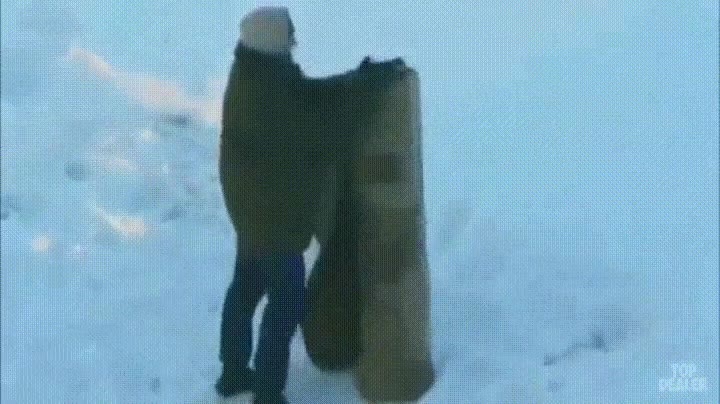 alfombra,salon,dinero,deber,paliza