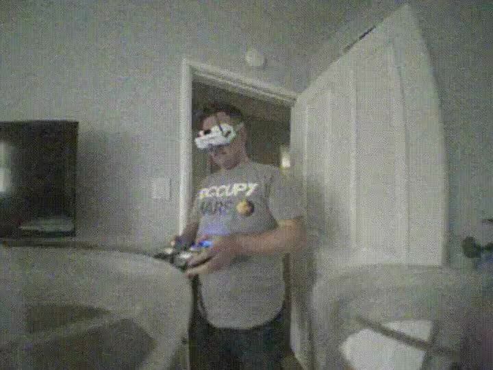 gato,asesino,drones,atacar,nuevo