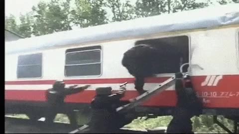 entrenamiento,fuerzas,especiales,tren