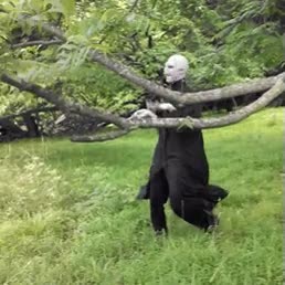 voldemort,por fin,buena noticia