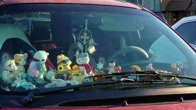 coche,verdadero,fan,coses,mover