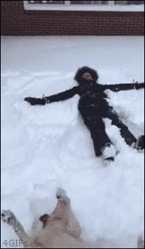 perro,nieve,humano,retozar,croqueta