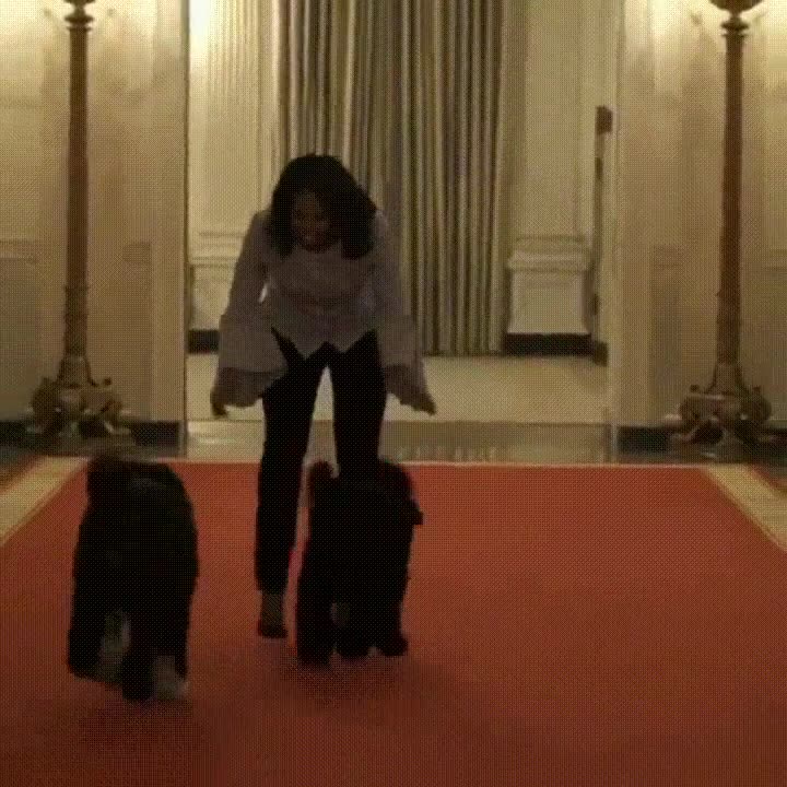 michelle,obama,ultimos,paseos,perros,casa blanca