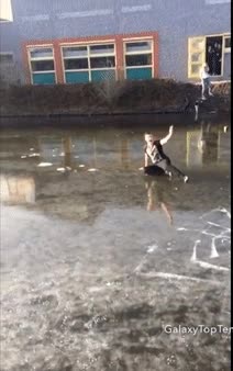 candidatos,premios,darwin