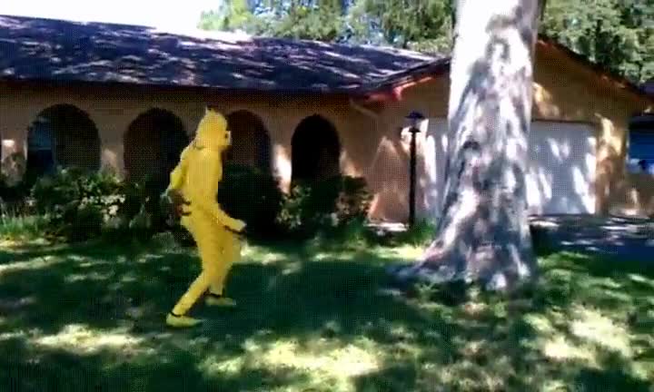 pikachu,entrenar,nuevo,movimiento