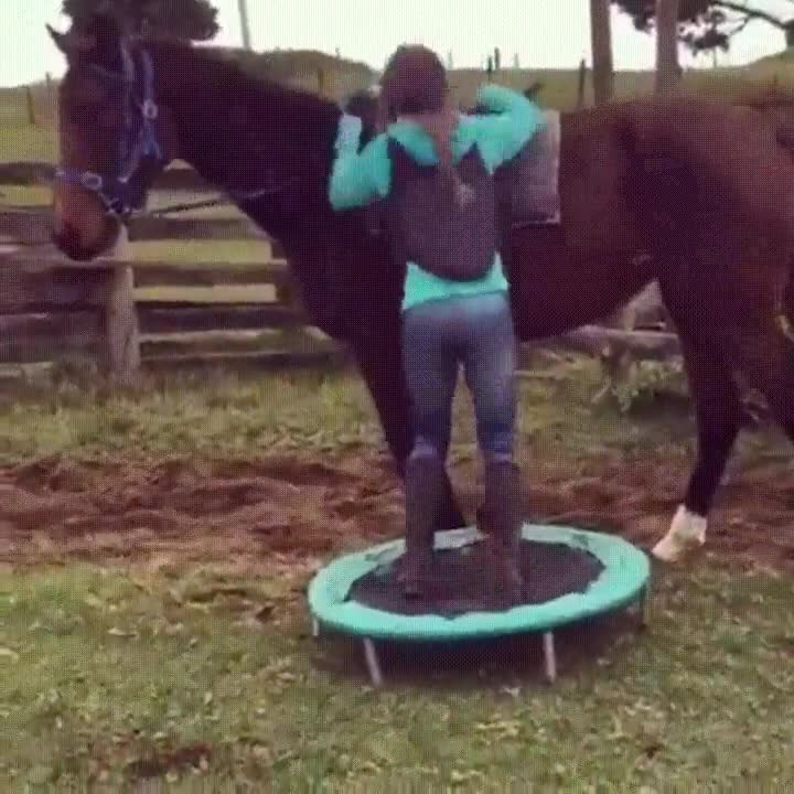 truco,gente,bajita,montar,caballo