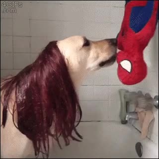perro,demasiadas,veces,pel&iacute;cula,spiderman
