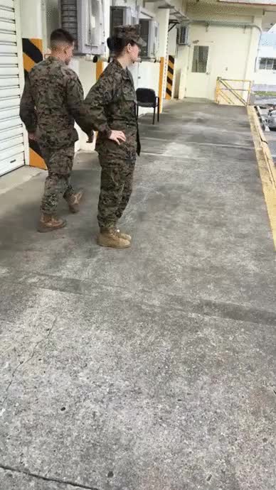 marine,llevar. bolsillo,gato